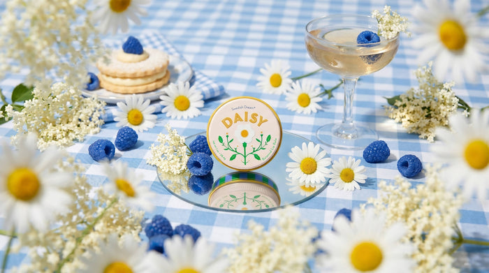 Skandi Blooms Daisy Botanical Lip Balm