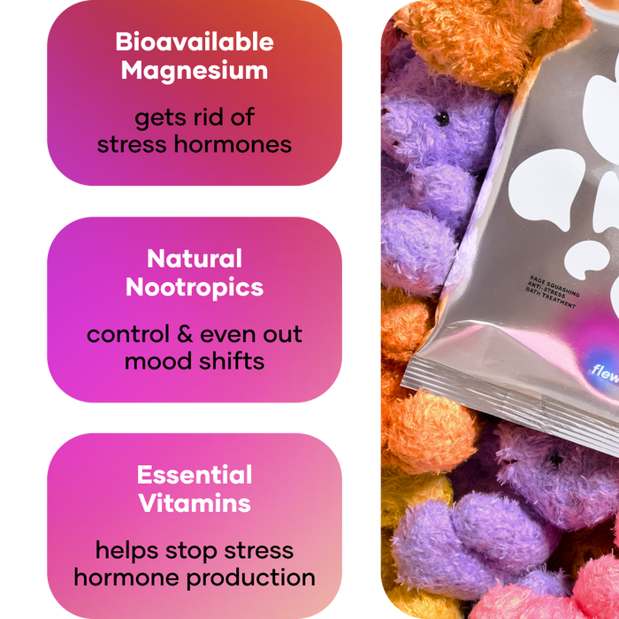 smile day bundle