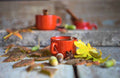 Spiced Red Oak - 1oz Sample
