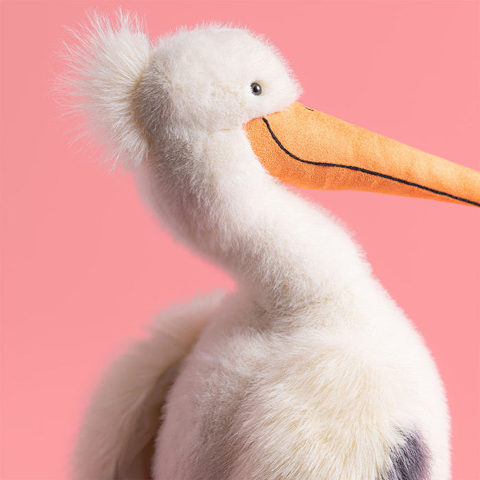 Teddy - Keli Pelican - Lifestyle Cut