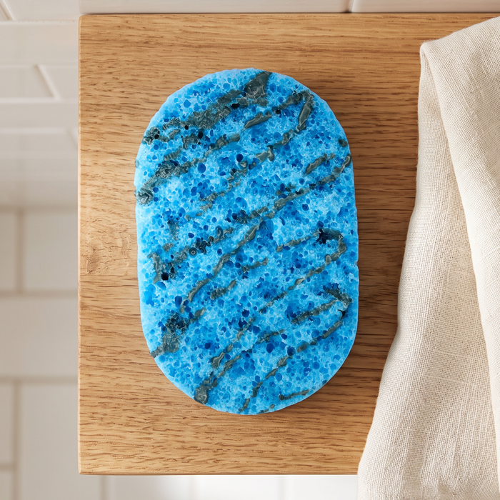 Westward Ho! - Soap Sponge