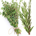 White Thyme and Rosemary - 1oz Sample
