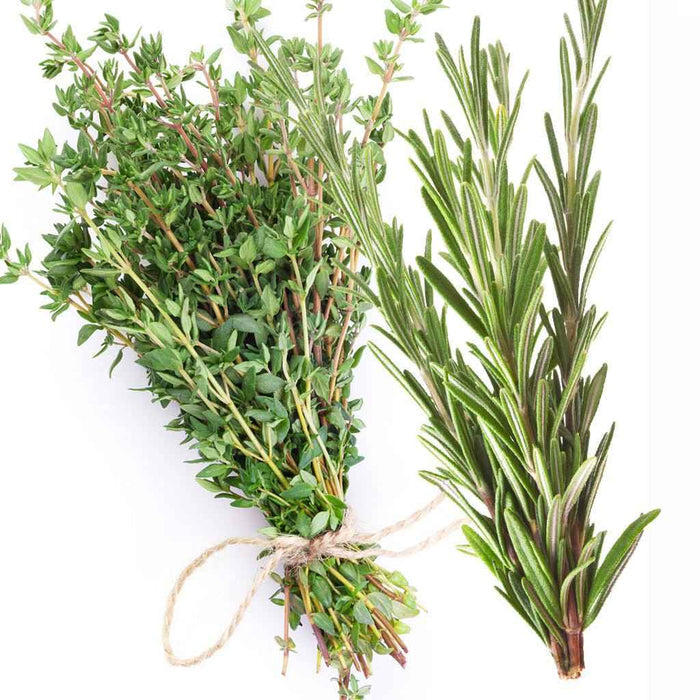White Thyme and Rosemary - 1oz Sample